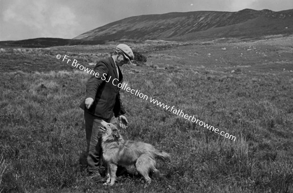 ON WAY TO NEWPORT RURAL SCENES MAN WITH DOG POSSIBLY SHEEPDOG